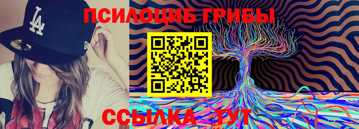 Псилоцибиновые грибы Psilocybe  Вход с VPN  Стрежевой 