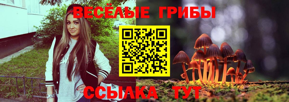 Галлюциногенные грибы Psilocybe Стрежевой